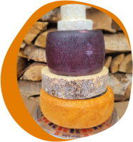 cheese-around-the-world-le-marche-revy